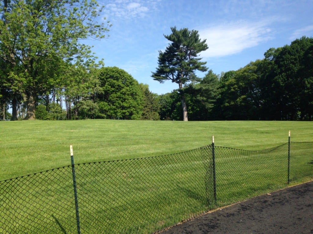 Fresh Pond's Kingsley Park is almost ready to reopen after last summer's landscaping work.
