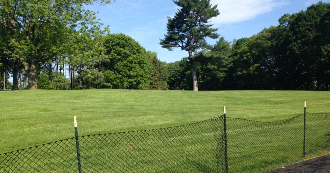 Fresh Pond's Kingsley Park is almost ready to reopen after last summer's landscaping work.